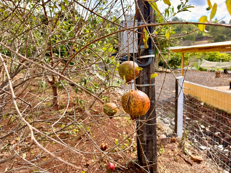 null: 8ª foto da galeria de imagens do imóvel