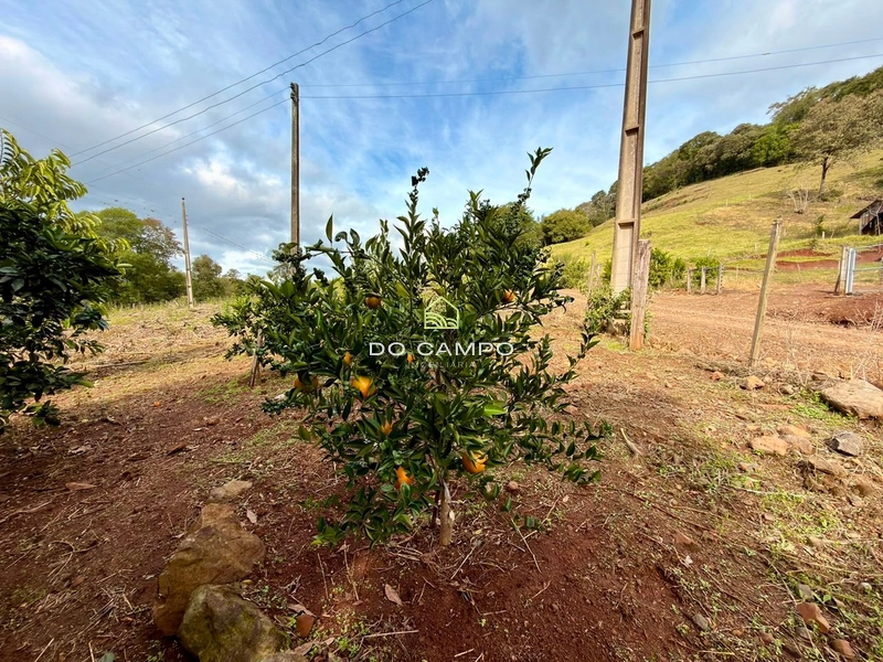 null: 22ª foto da galeria de imagens do imóvel