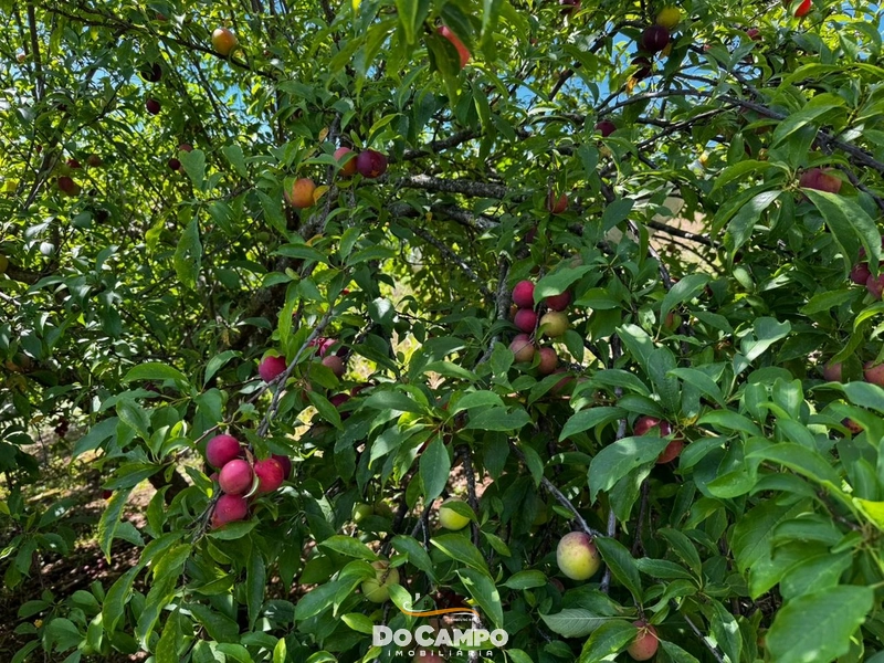null: 22ª foto da galeria de imagens do imóvel