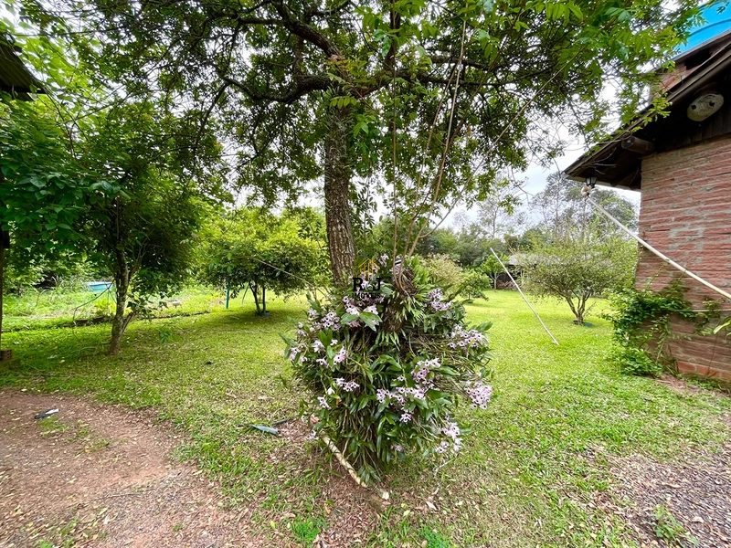 🌾 Cheiro de Fazenda: 17ª foto da galeria de imagens do imóvel
