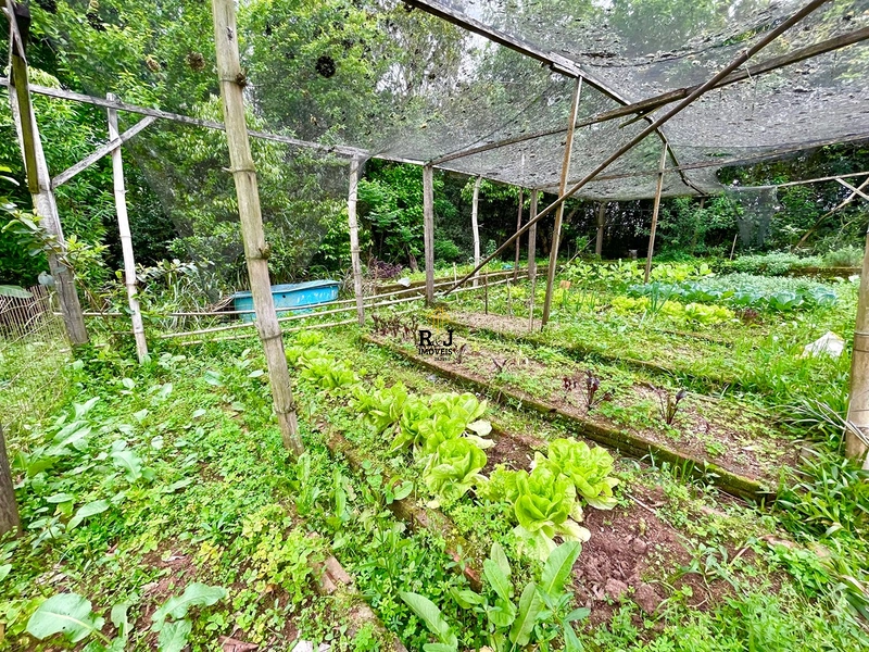 🌾 Cheiro de Fazenda: 20ª foto da galeria de imagens do imóvel