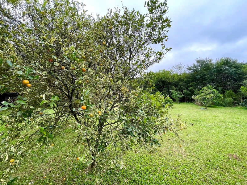 🌾 Cheiro de Fazenda: 31ª foto da galeria de imagens do imóvel