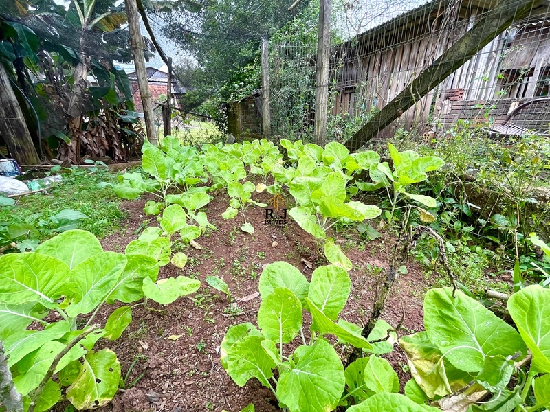 🌾 Cheiro de Fazenda: 25ª foto da galeria de imagens do imóvel