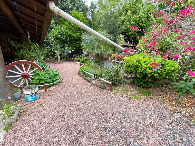 🌾 Cheiro de Fazenda: 7ª foto da galeria de imagens do imóvel