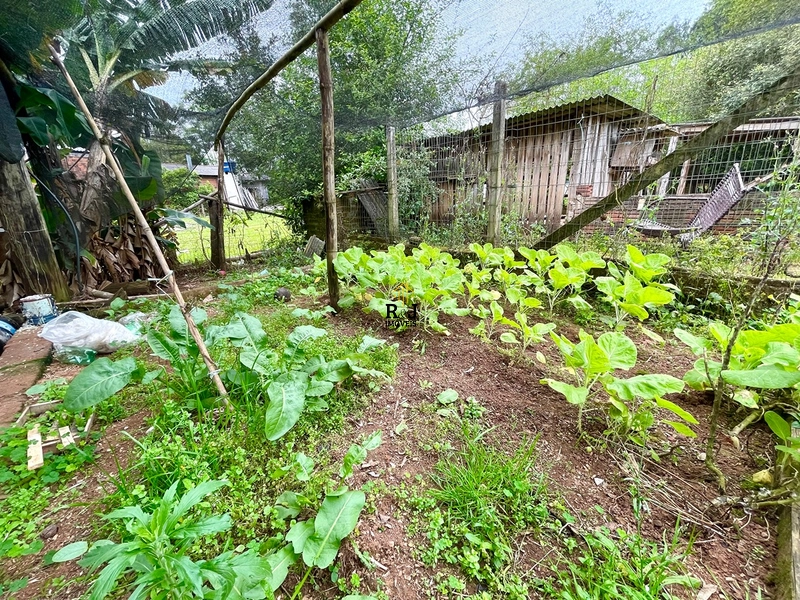 🌾 Cheiro de Fazenda: 24ª foto da galeria de imagens do imóvel