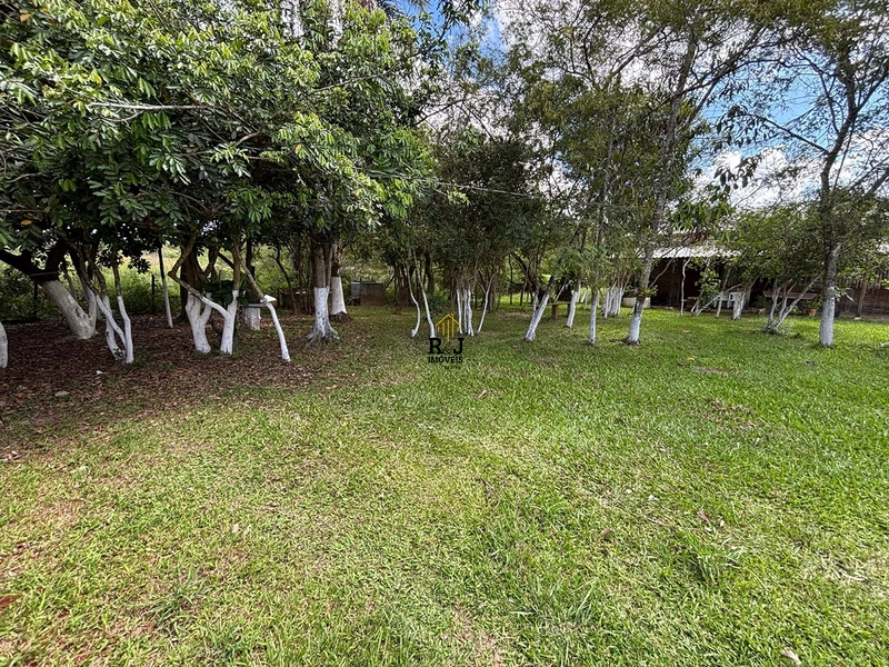 Chácara a venda em Sapiranga / São Luiz : 23ª foto da galeria de imagens do imóvel