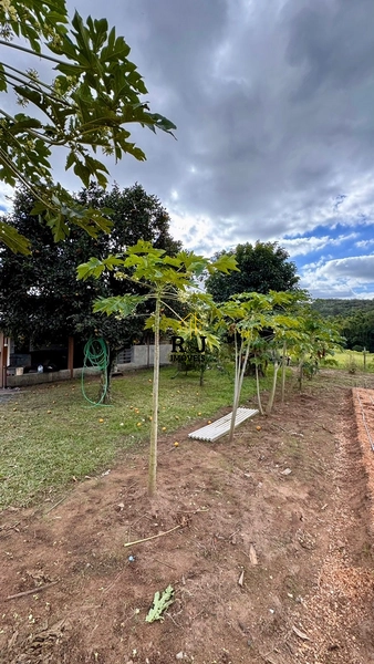 Chácara á Venda!: 12ª foto da galeria de imagens do imóvel