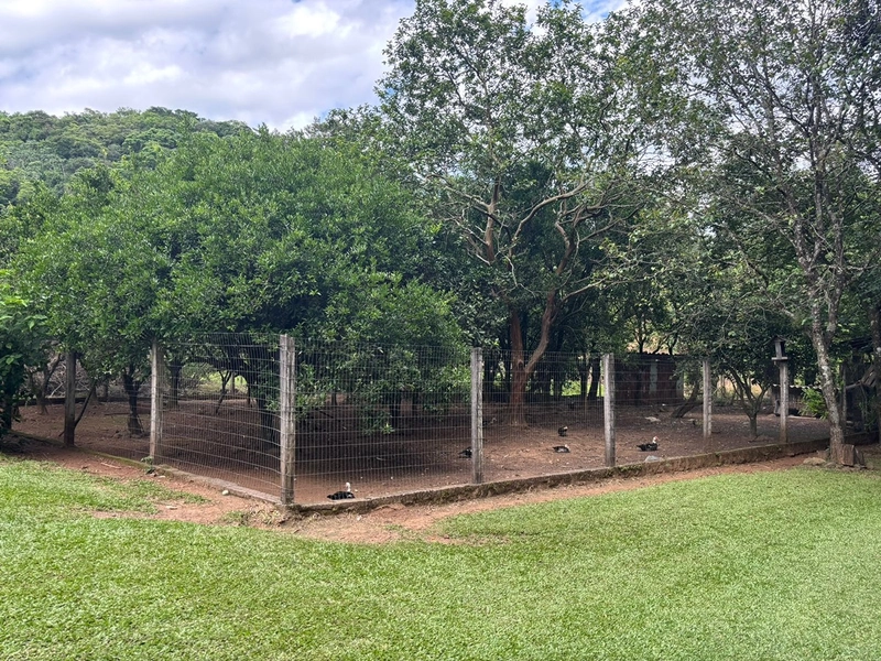 Chácara a venda em Nova Hartz : 25ª foto da galeria de imagens do imóvel