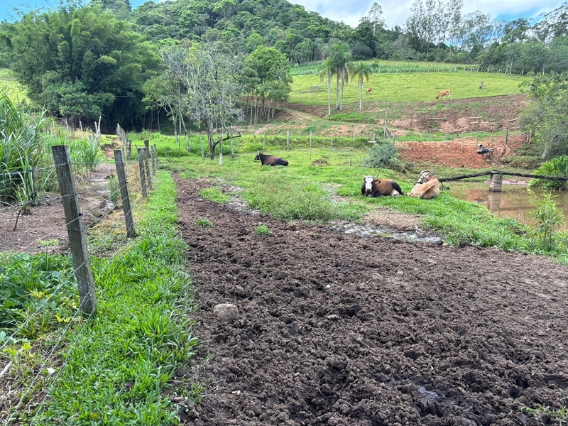 Chácara a venda em Nova Hartz : 20ª foto da galeria de imagens do imóvel