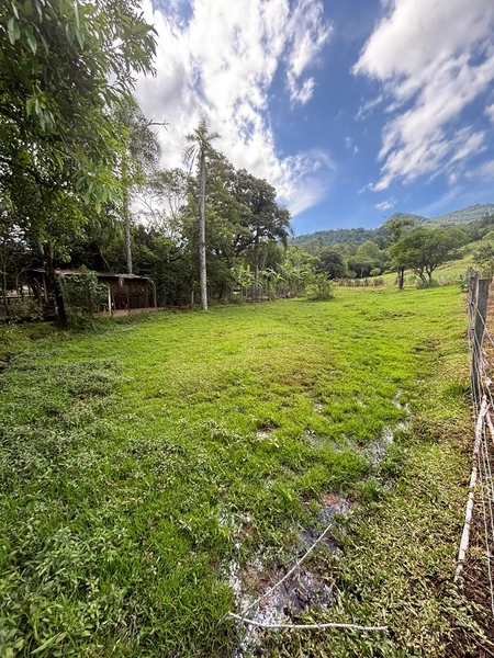 Chácara a venda em Nova Hartz : 17ª foto da galeria de imagens do imóvel