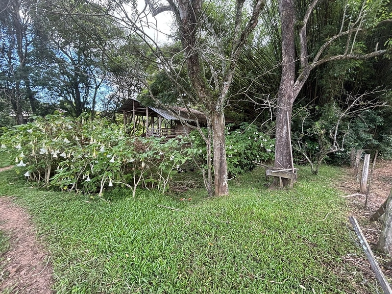 Chácara a venda em Nova Hartz : 15ª foto da galeria de imagens do imóvel