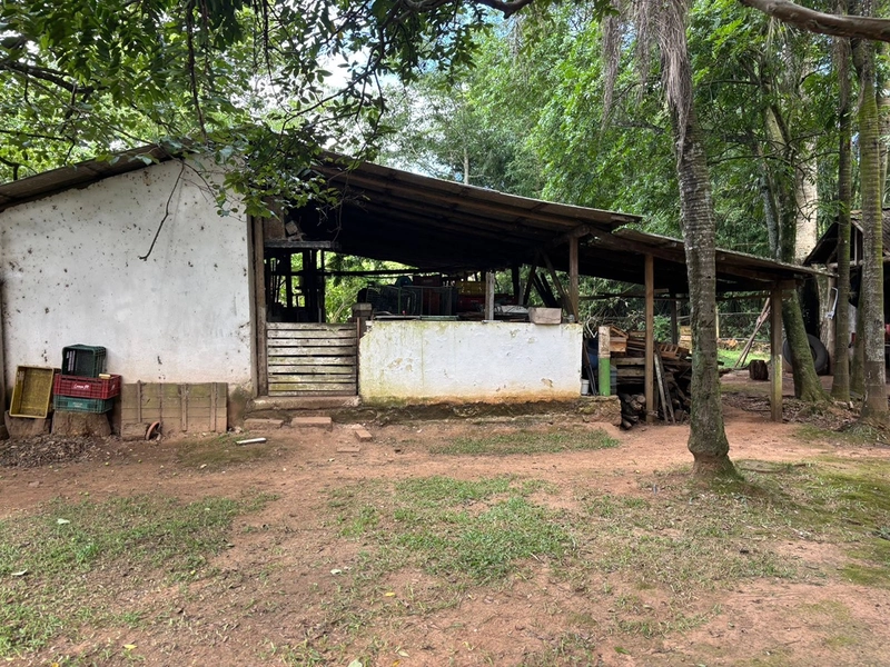 Chácara a venda em Nova Hartz : 23ª foto da galeria de imagens do imóvel