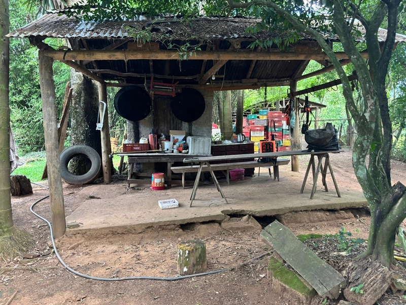 Chácara a venda em Nova Hartz : 24ª foto da galeria de imagens do imóvel