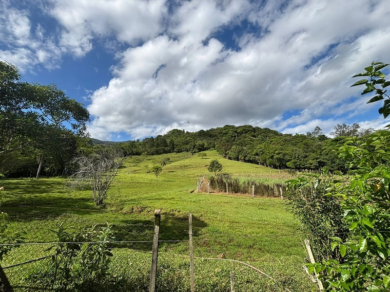 Chácara a venda em Nova Hartz : 13ª foto da galeria de imagens do imóvel