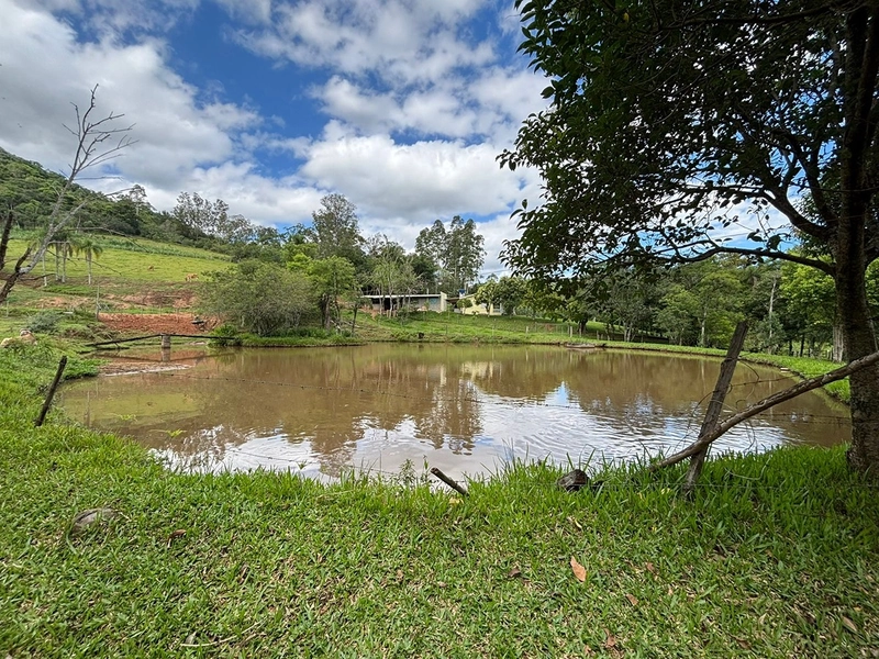 Chácara a venda em Nova Hartz : 19ª foto da galeria de imagens do imóvel