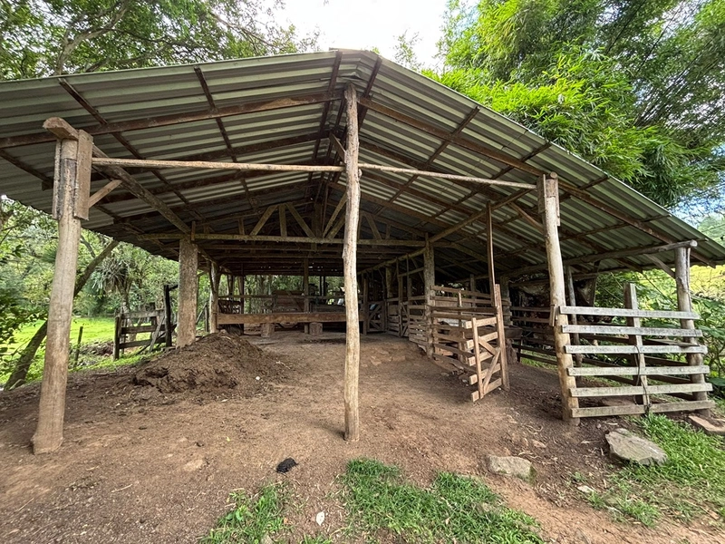 Chácara a venda em Nova Hartz : 21ª foto da galeria de imagens do imóvel