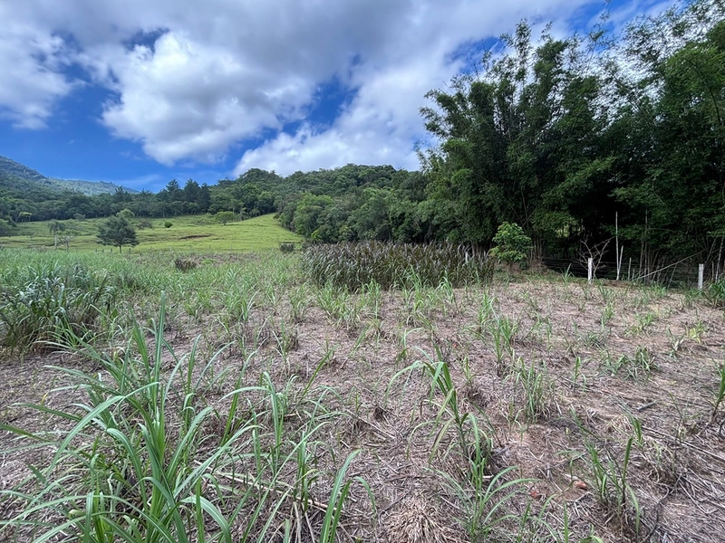 Chácara a venda em Nova Hartz : 14ª foto da galeria de imagens do imóvel