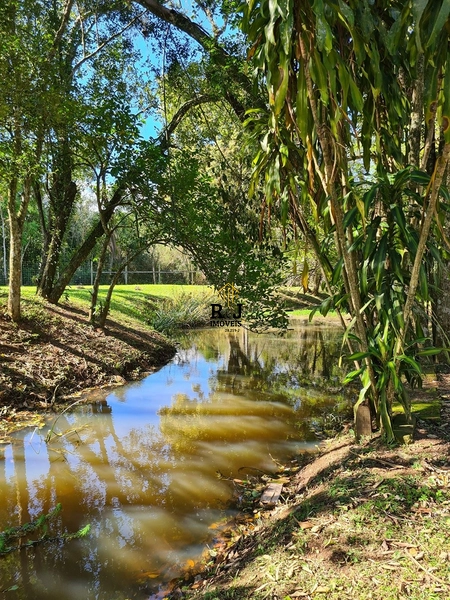 Sítio á Venda, Sapiranga!: 8ª foto da galeria de imagens do imóvel