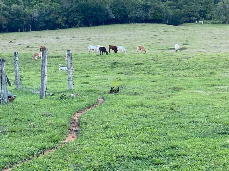 Propriedade em Taquara á Venda!: 9ª foto da galeria de imagens do imóvel