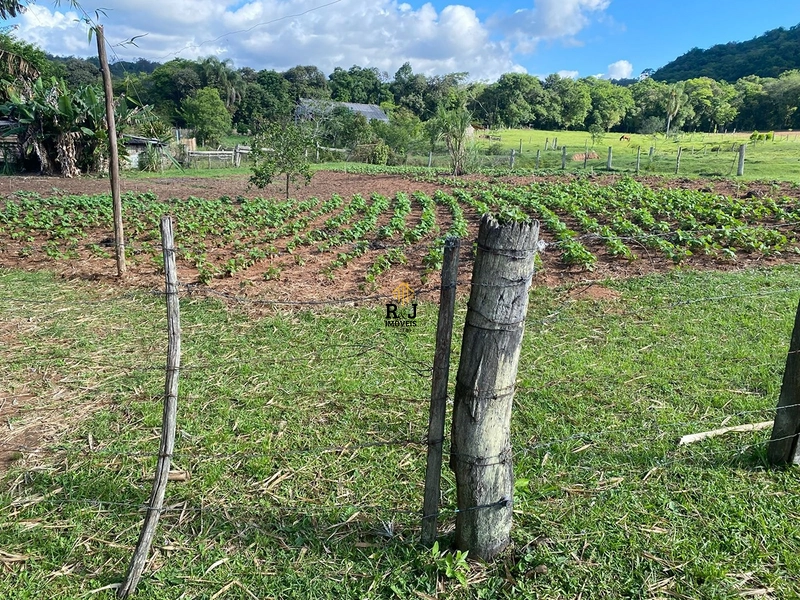Propriedade em Taquara á Venda!: 10ª foto da galeria de imagens do imóvel
