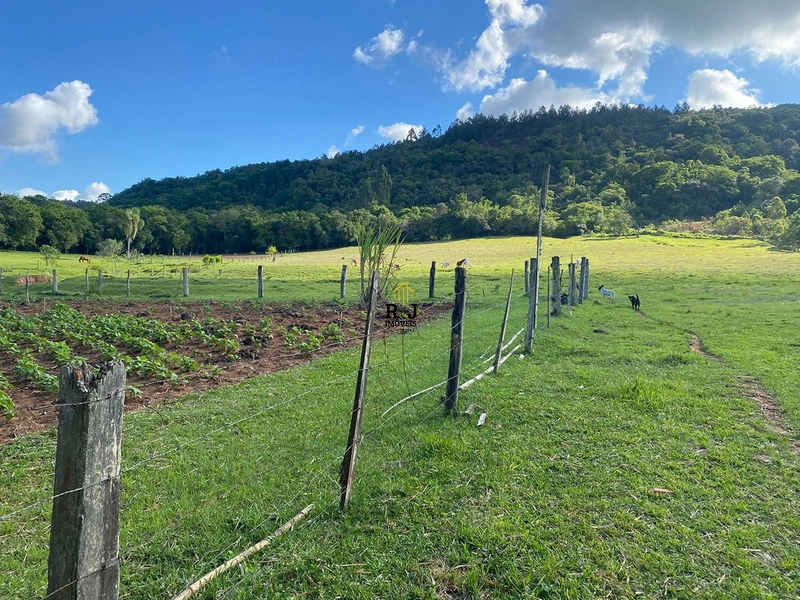 Propriedade em Taquara á Venda!: 4ª foto da galeria de imagens do imóvel
