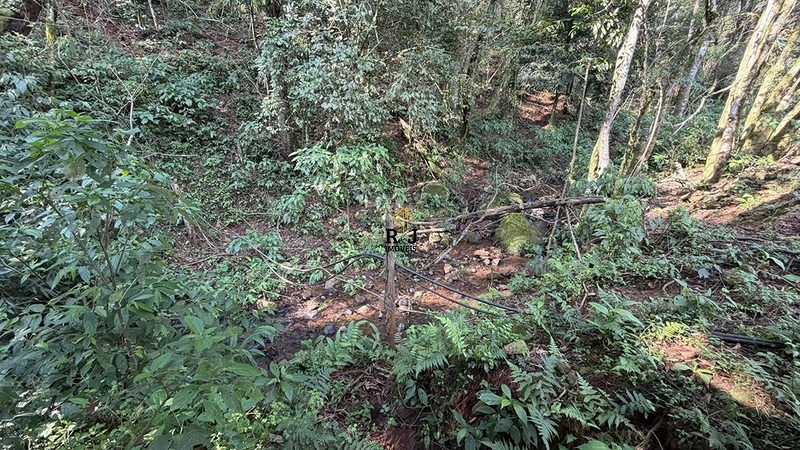 Chácara á Venda em Bela hu: 5ª foto da galeria de imagens do imóvel