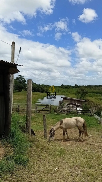 Chácara á venda!: 5ª foto da galeria de imagens do imóvel