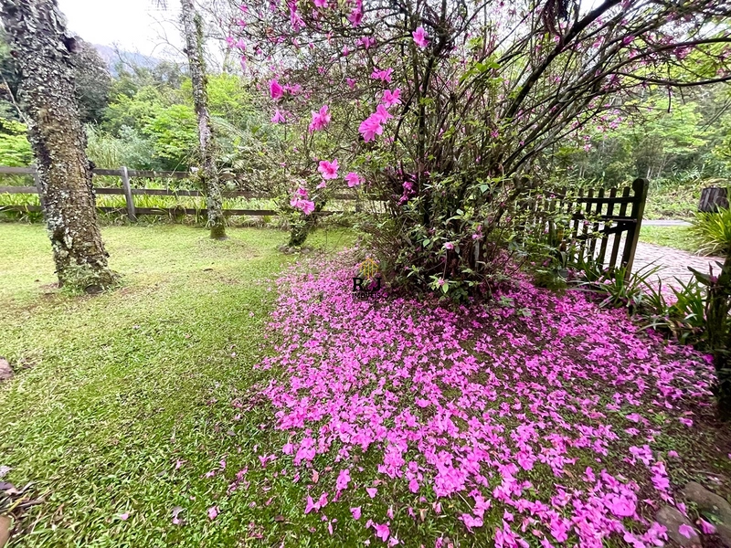 Um pedacinho do paraíso 😻: 3ª foto da galeria de imagens do imóvel