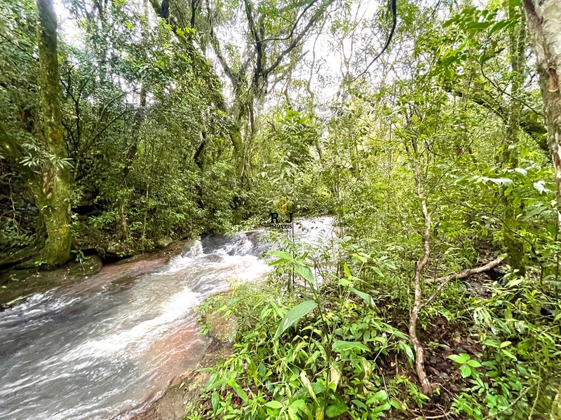 Um pedacinho do paraíso 😻: 11ª foto da galeria de imagens do imóvel