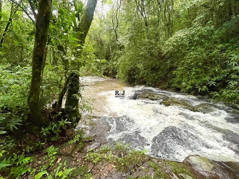 Um pedacinho do paraíso 😻: 10ª foto da galeria de imagens do imóvel