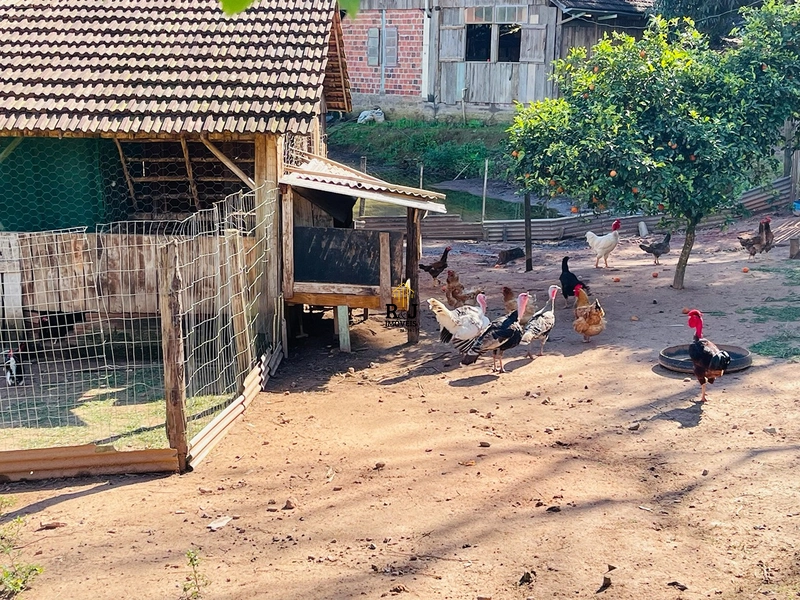 Chácara á Venda!: 34ª foto da galeria de imagens do imóvel