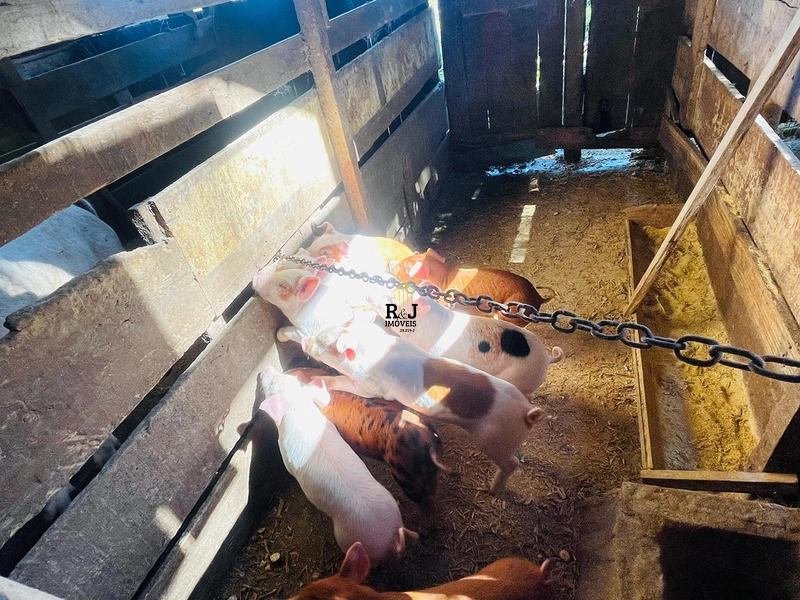 Chácara á Venda!: 37ª foto da galeria de imagens do imóvel
