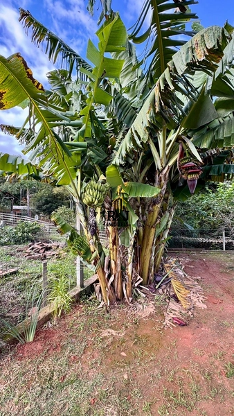 Chácara á Venda!: 30ª foto da galeria de imagens do imóvel