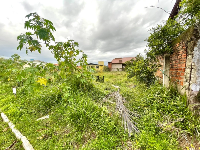 ⚜️ Oportunidade de negociação : 2ª foto da galeria de imagens do imóvel