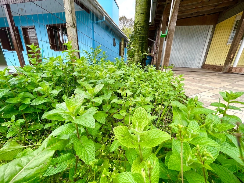 ⚜️ Casa a venda em Ararica: 20ª foto da galeria de imagens do imóvel