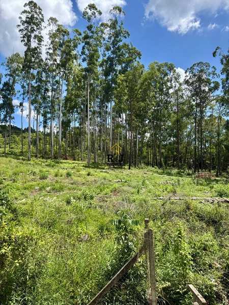 Alugo apartamento no residencial Centenario: 9ª foto da galeria de imagens do imóvel