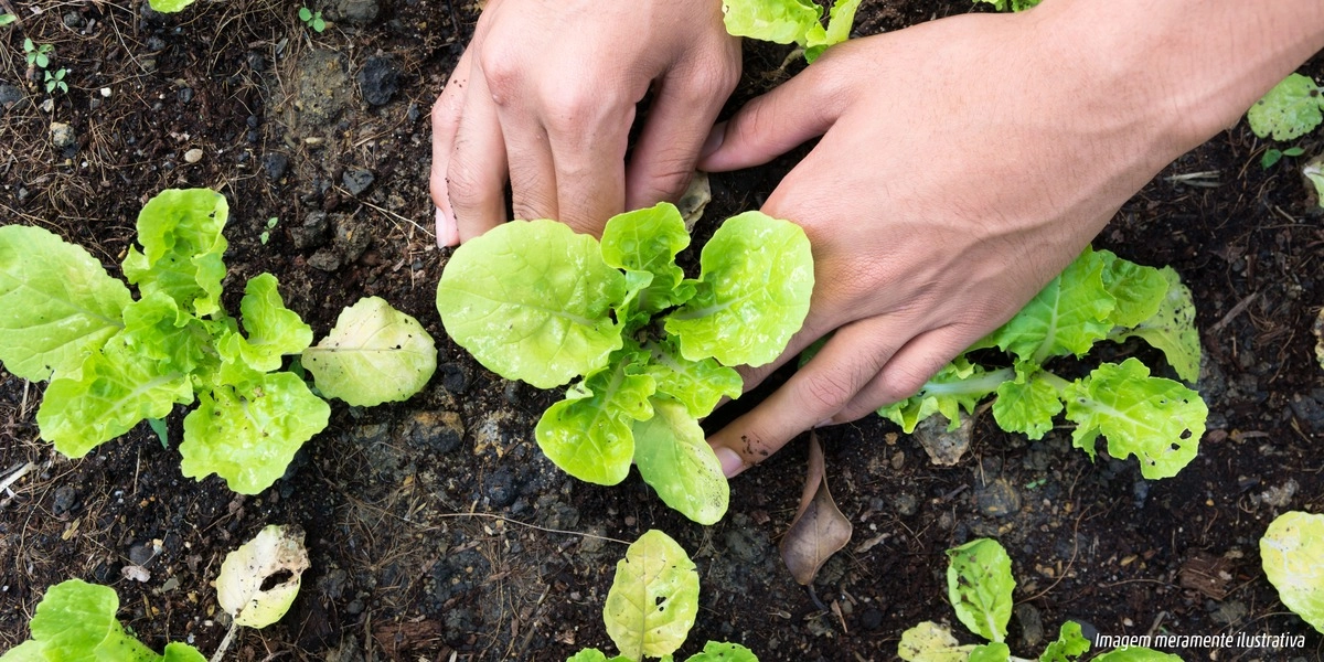 33ª foto do condomínio