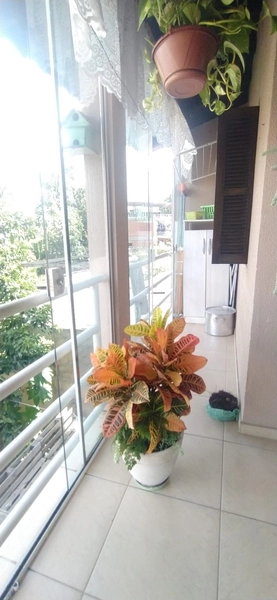 Apartamento 2 dormitórios no Barnabé: 11ª foto da galeria de imagens do imóvel