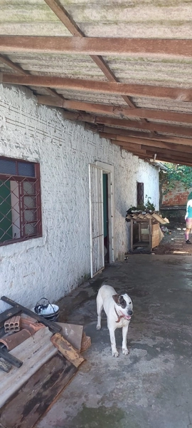 CASA A VENDA EM CACHOEIRNHA: 3ª foto da galeria de imagens do imóvel