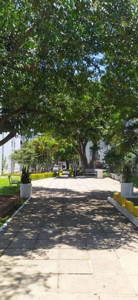 Apartamento 2 dormitórios bairro Salgado Filho: 15ª foto da galeria de imagens do imóvel