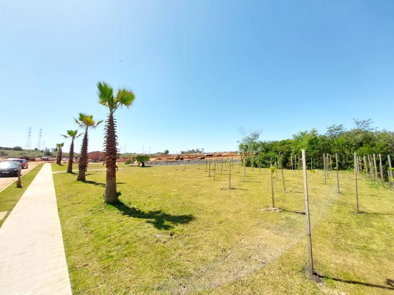 Terrenos no bairro Nova Cachoeirinha: 12ª foto da galeria de imagens do imóvel