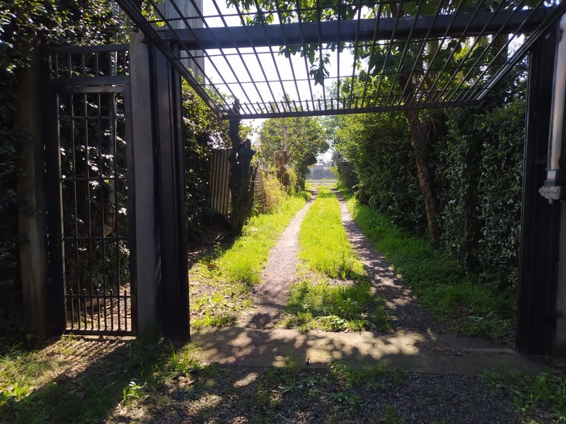 Três casas no mesmo terreno no Jardim Betânia: 9ª foto da galeria de imagens do imóvel