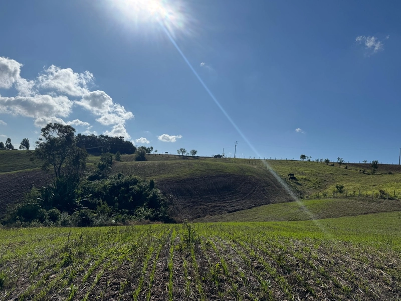 LINDA CHACARA PARA FORMAÇÃO DE CHÁCARA PRÓXIMO AO CENTRO: 13ª foto da galeria de imagens do imóvel