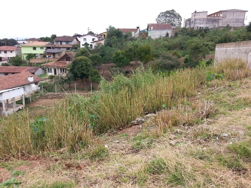 Terreno de 1.290m² em Campo Largo – Ideal para Construção Residencial!: 2ª foto da galeria de imagens do imóvel