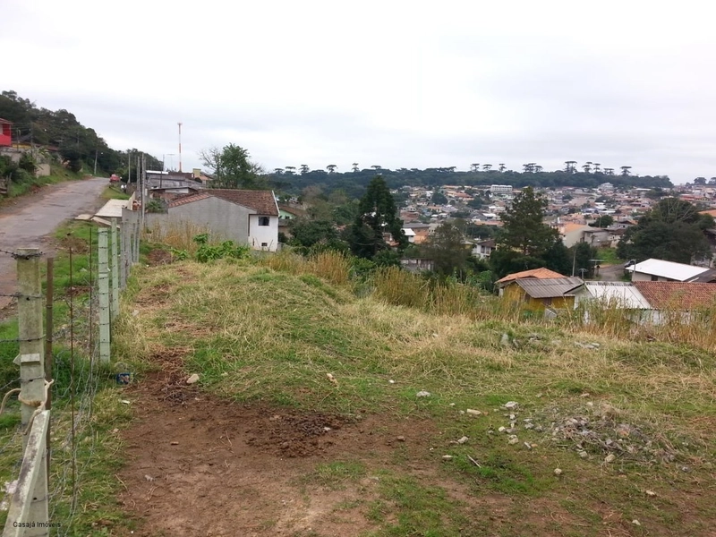 Terreno de 1.290m² em Campo Largo – Ideal para Construção Residencial!: 1ª foto da galeria de imagens do imóvel