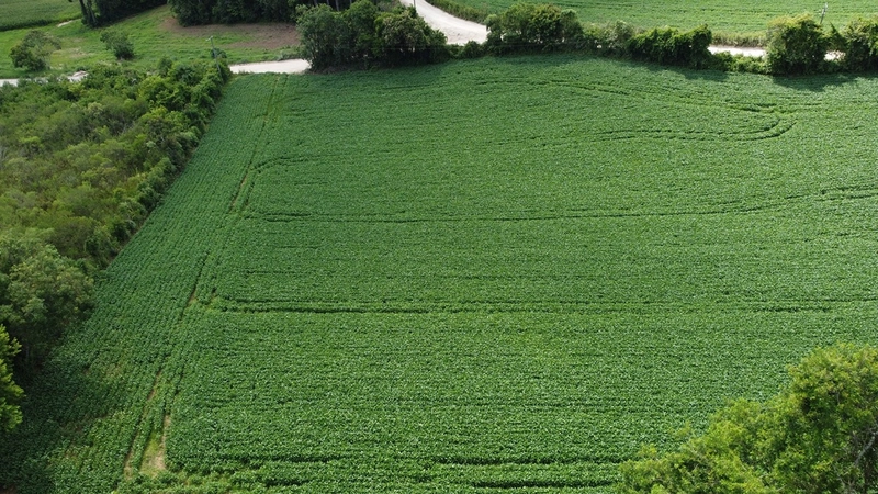Terreno com potencial para realizar o projeto de um condomínio residencial exclusivo ou para construir o seu refúgio particular no Bugre.: 5ª foto da galeria de imagens do imóvel