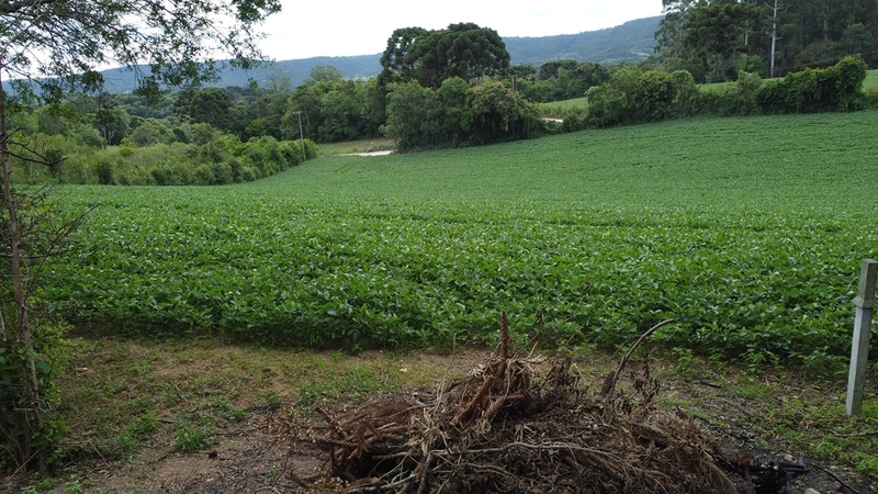 Terreno com potencial para realizar o projeto de um condomínio residencial exclusivo ou para construir o seu refúgio particular no Bugre.: 4ª foto da galeria de imagens do imóvel