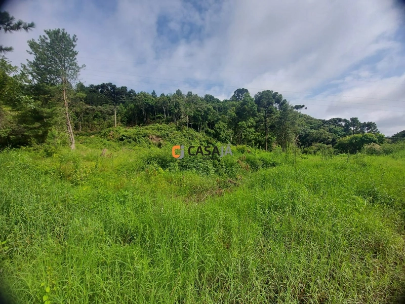 TERRENO FRENTE BR 277: 4ª foto da galeria de imagens do imóvel