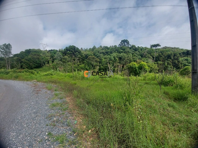 TERRENO FRENTE BR 277: 1ª foto da galeria de imagens do imóvel