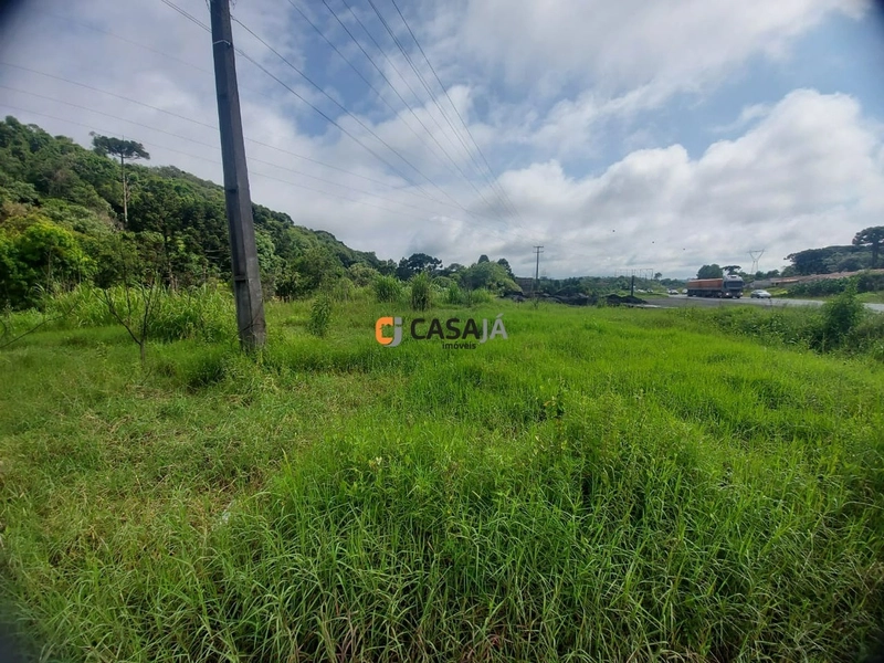 TERRENO FRENTE BR 277: 3ª foto da galeria de imagens do imóvel
